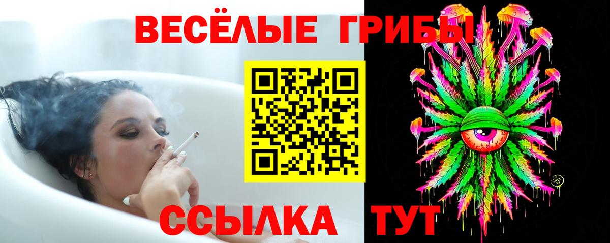 Псилоцибиновые грибы ЛСД Владикавказ