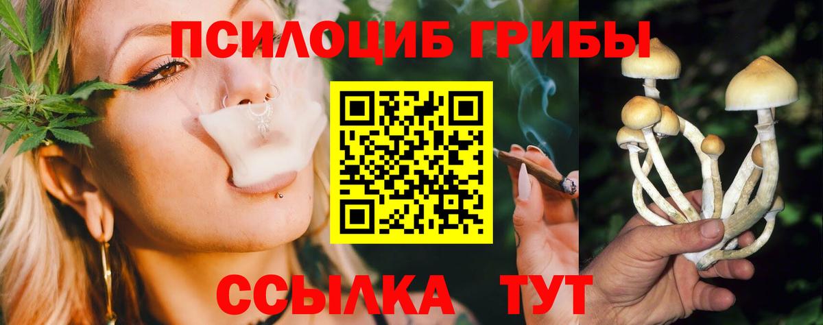 купить  цена  Псилоцибиновые грибы Magic Shrooms  Владикавказ  Вход с VPN  Псилоцибиновые грибы Psilocybe 
